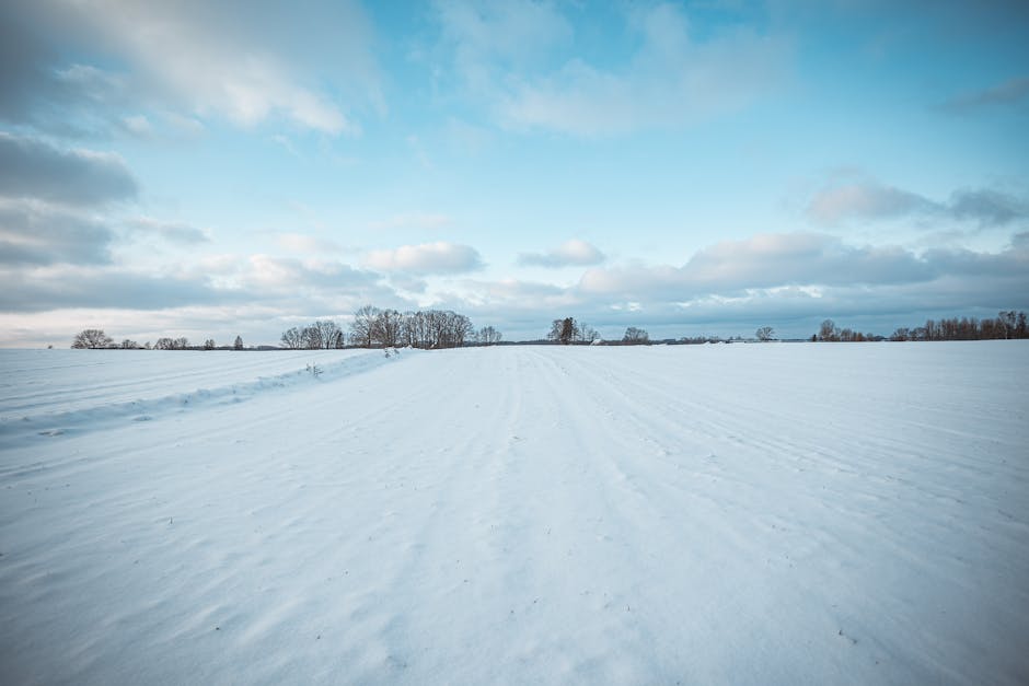 Snow Photography: Capturing Winter Beauty in the UK